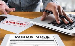 Image result for Work Visa Page