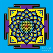 Image result for Psychedelic Flower of Life