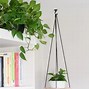 Image result for Ceiling Hooks for Planters