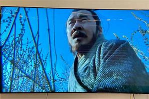 Image result for Sony TV Screen Problems