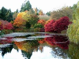 Image result for Autumn Height NHRA