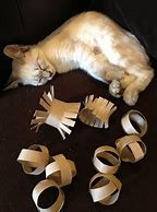 Image result for DIY Cat Toys