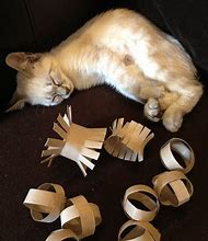 Image result for Cat Toys You Can Make