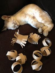 Image result for DIY Cat Toys Simple