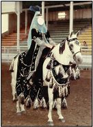 Image result for Arabian Horse Native Costume