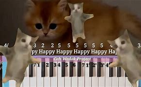 Image result for Happy Song Cat Meme