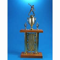 Image result for Cricket Trophy