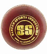 Image result for SS Cricket Ball