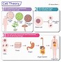 Image result for Cell Theory History Timeline