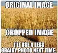 Image result for Nice Crop Meme
