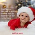 Image result for Funny Christmas Tree Memes