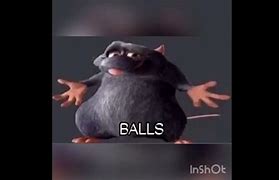 Image result for Rat Balls Meme