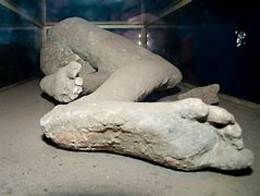 Image result for Pompeii Eruption Bodies
