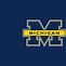 Image result for Michigan Wolverines Football Screensavers