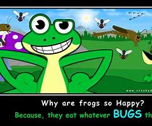 Image result for Funny Adult Frog Jokes