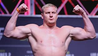 Image result for UFC Heavyweight Fighters