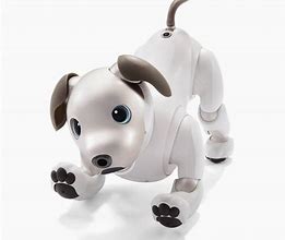 Image result for Aibo 机器狗 历代