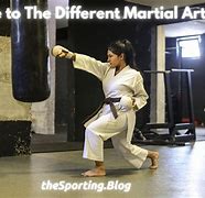 Image result for Most Practical Martial Arts