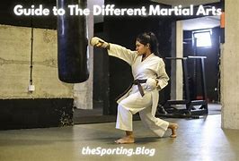 Image result for Common Styles of Karate