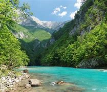 Image result for Tara River Montenegro