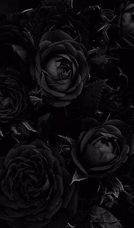 Image result for Black Aesthetic Rose Wallpaper