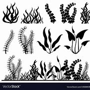 Image result for aquatic plant silhouettes