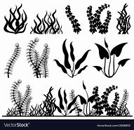 Image result for aquatic plant silhouettes