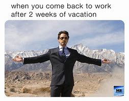 Image result for Return to Work After Vacation Meme