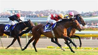 Image result for horse racing wallpaper hd
