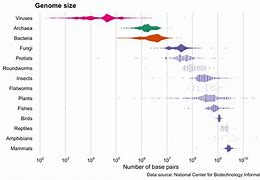 Image result for Sizes of Genomes