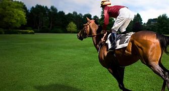 Image result for horse racing wallpaper iphone