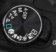 Image result for Nikon Auto Mode Icon