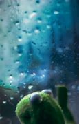 Image result for Kermit Looking Out Window Meme