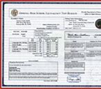 Image result for Fake College Transcript Template