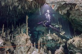 Image result for Cozumel Cenote Diving