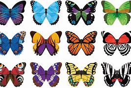 Image result for Butterfly Memory Game