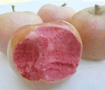 Image result for Gyuana Pink Apple's
