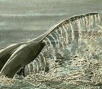 Image result for Great Whale River Art