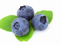 Image result for Blueberry