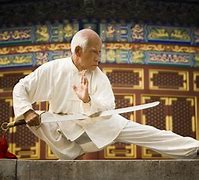 Image result for Types of Kung Fu