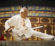 Image result for Kung Fu Techniqes