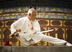 Image result for Kung Fu Styles Techniques