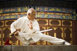 Image result for Shaolin Kung Fu GI