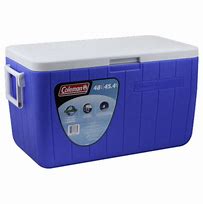 Image result for Costco Cooler Blue Chest