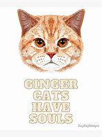 Image result for Ginger Cat Souls Meme