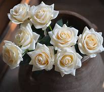 Image result for Champagne Colored Roses Flowers