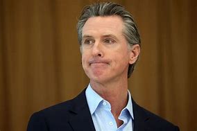 Image result for Gov Gavin Newsom Hair