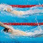 Image result for Olympic Swimming Images