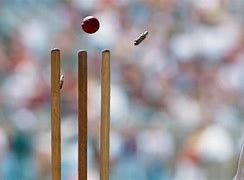 Image result for Wicket Cricket Background