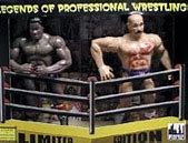 Image result for Iron Sheik Action Figure